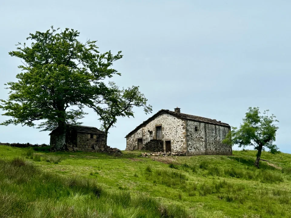 Masvell House photo 3