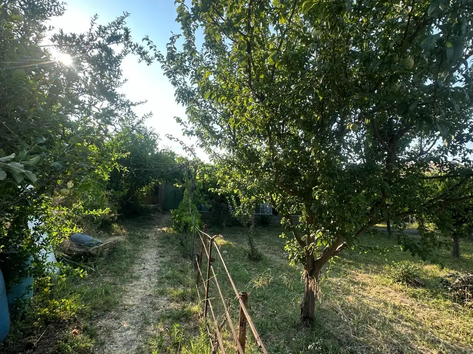 Cortijo in Olula Del Rio, Almeria province photo 5