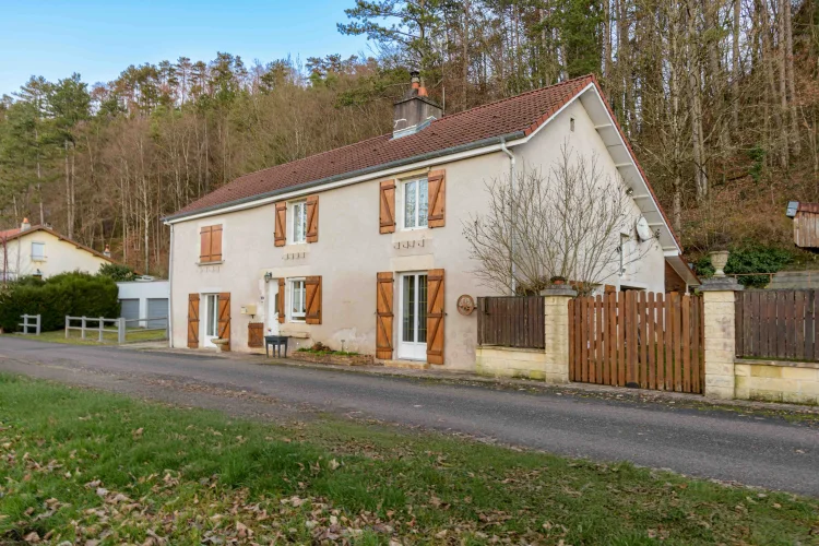 Charming Character House Near River and Forest