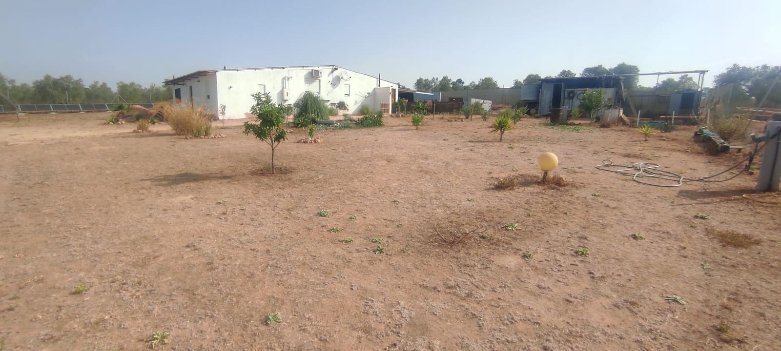 Finca/Country House for sale in Beas, Huelva photo 2