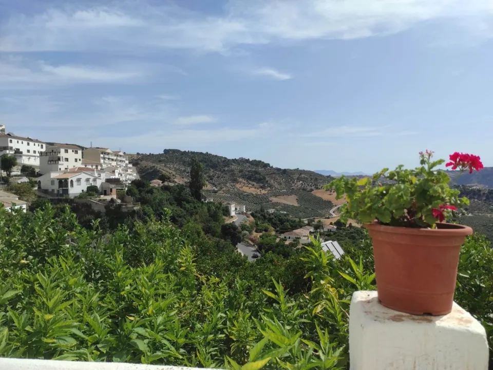 IMMO Abroad Real Estate photo 2