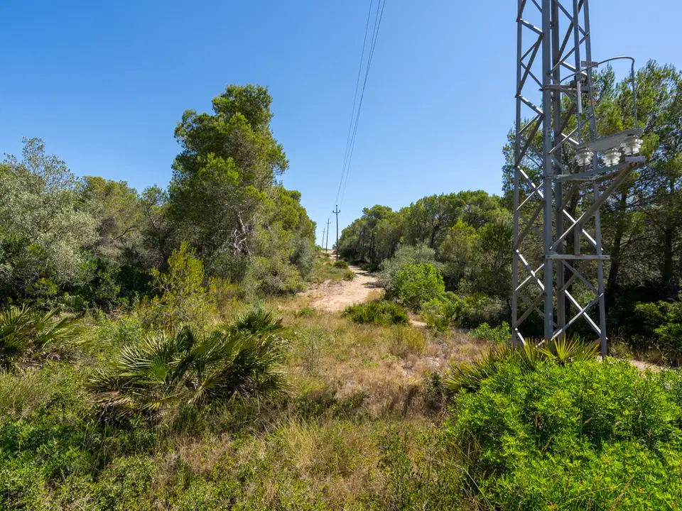 MAS CATALAN RURAL PROPERTIES S.L.U. photo 4