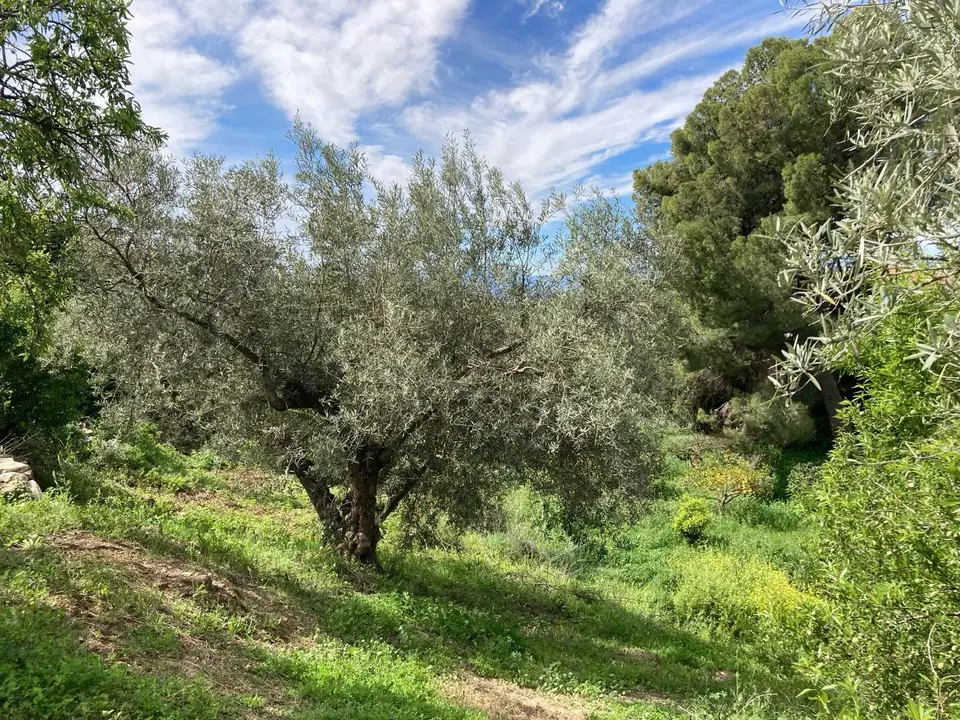 Country house in Antequera, Malaga