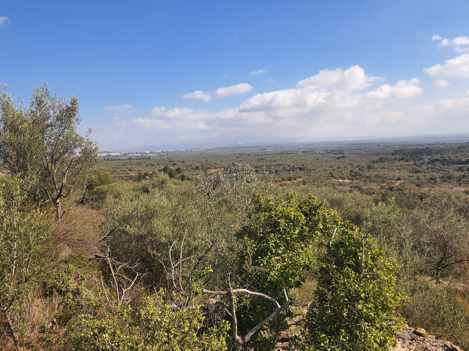 Beach Property in Spain photo 3
