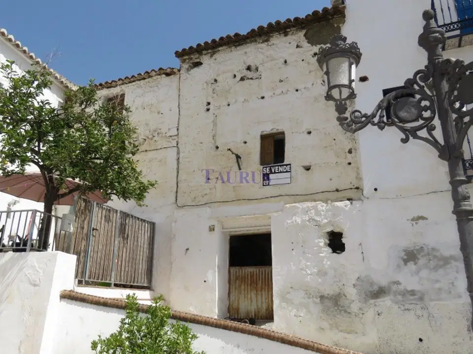 Taurus Real Estate photo 2