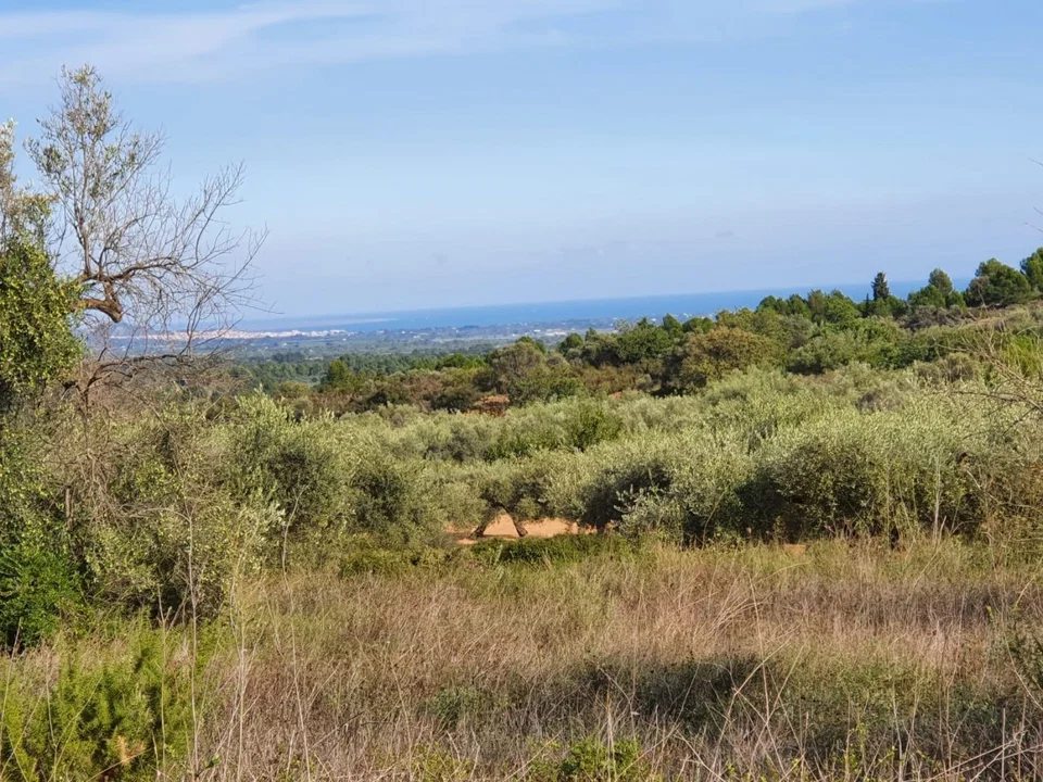 Country house in Sant Jordi, Castellon photo 2