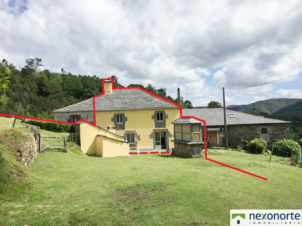 Nexonorte Inmobiliaria photo 2