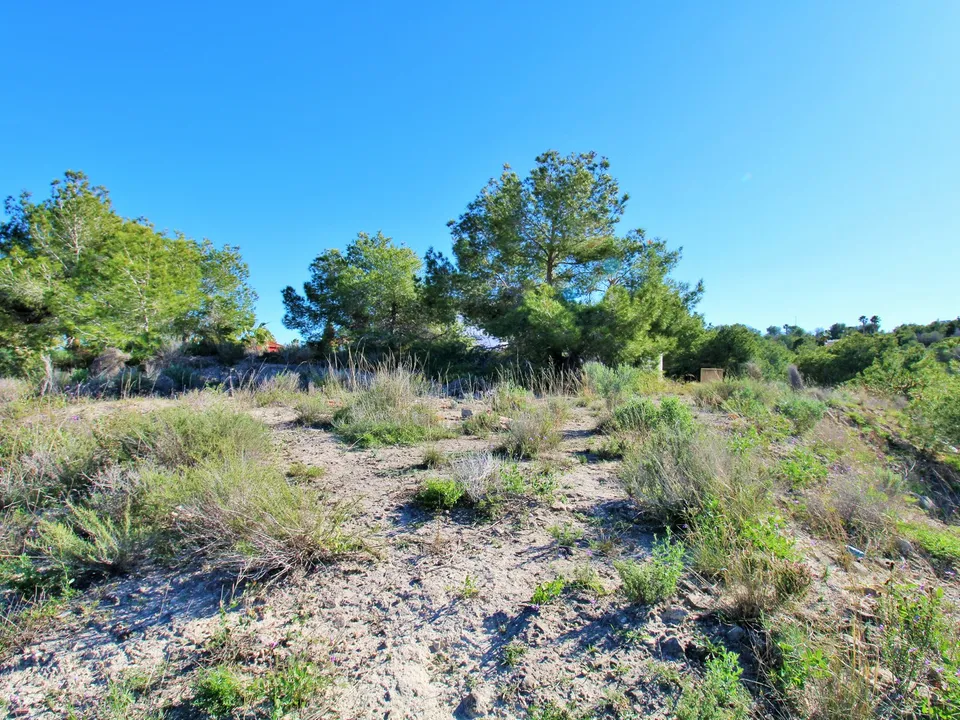 Vista Casas photo 4