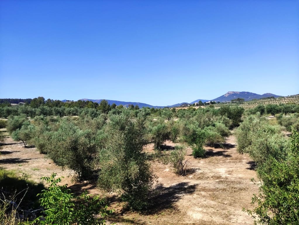 Finca/Country House for sale in Penàguila, Alicante photo 2