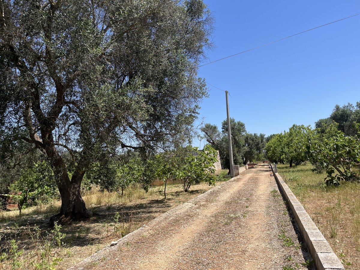 Property in Ceglie Messapica photo 2