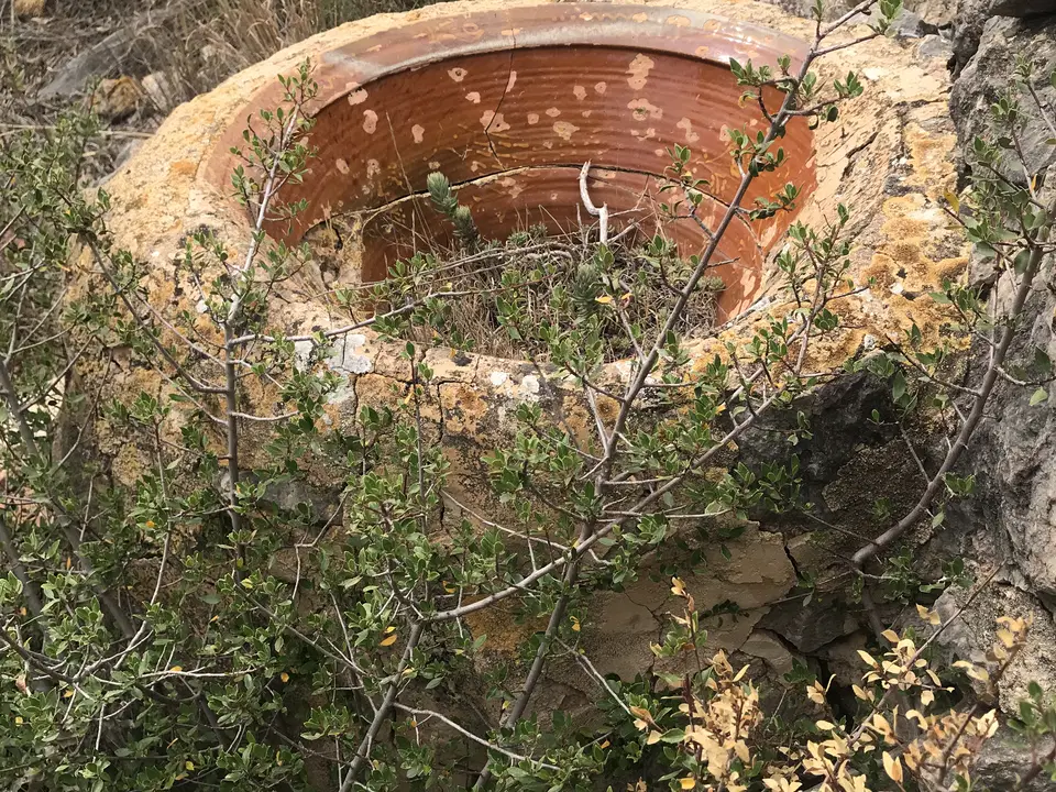 Finca in Benifallet, Tarragona province photo 4