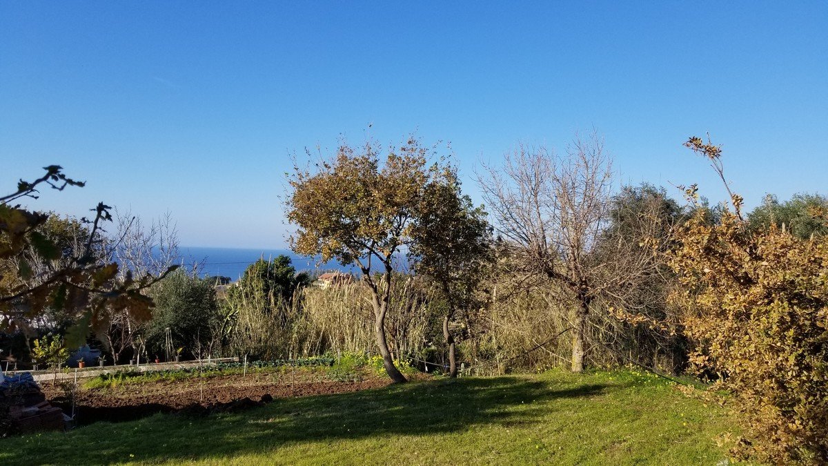 Property in Tropea photo 3