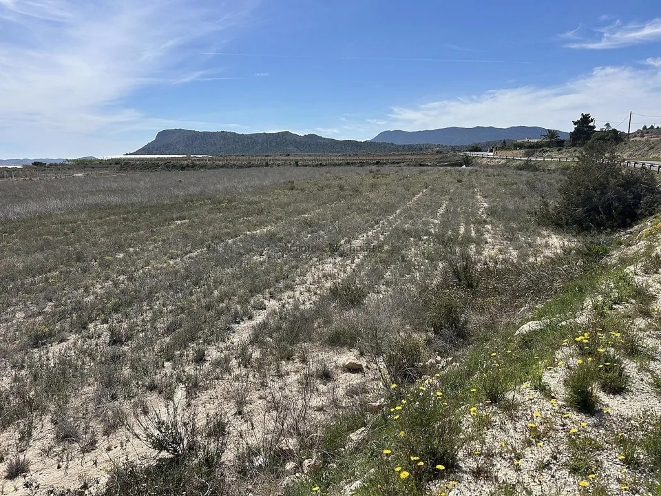 Alicante Dream Property 