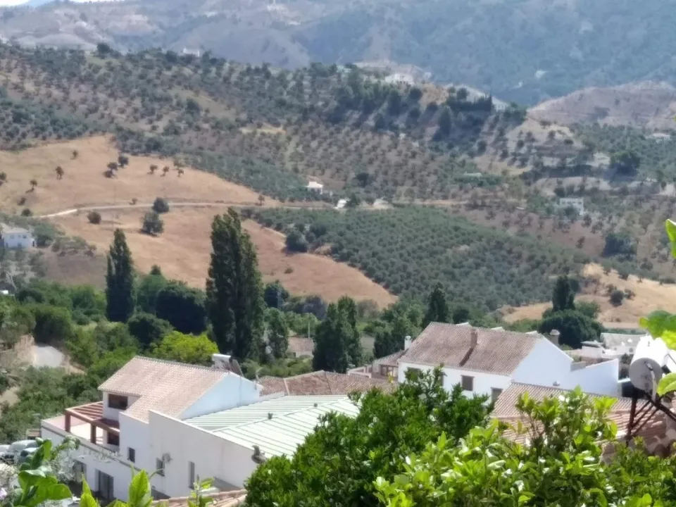 IMMO Abroad Real Estate photo 3