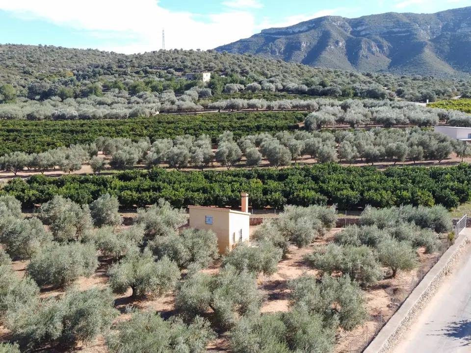 MAS CATALAN RURAL PROPERTIES S.L.U. photo 5