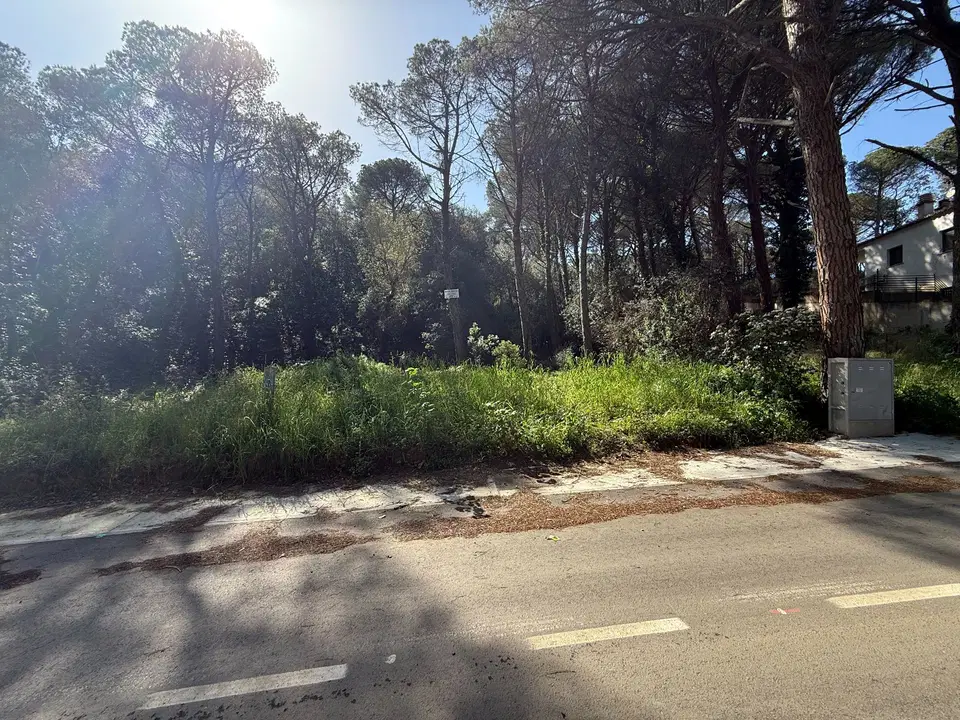 Finques Blau Cel photo 4