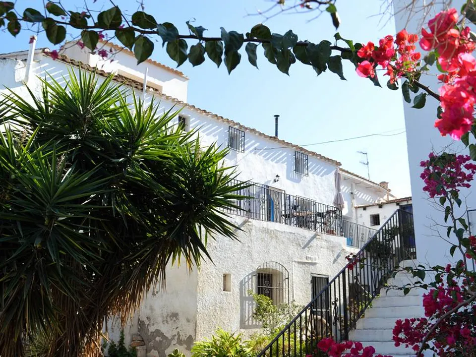 Olive Properties photo 3