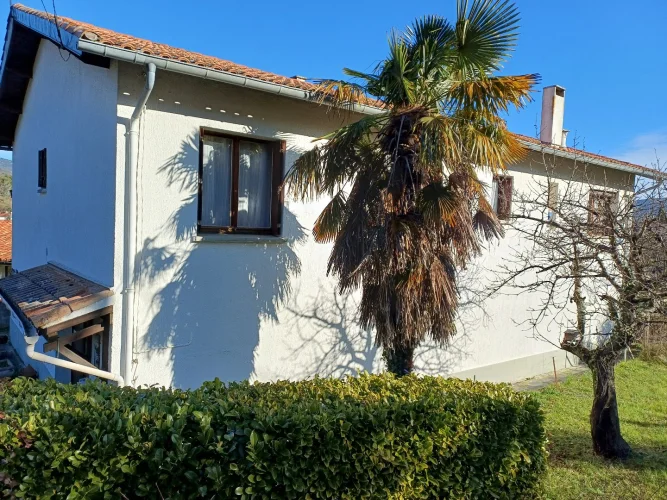 Detached House with 3151m² of Land. photo 3