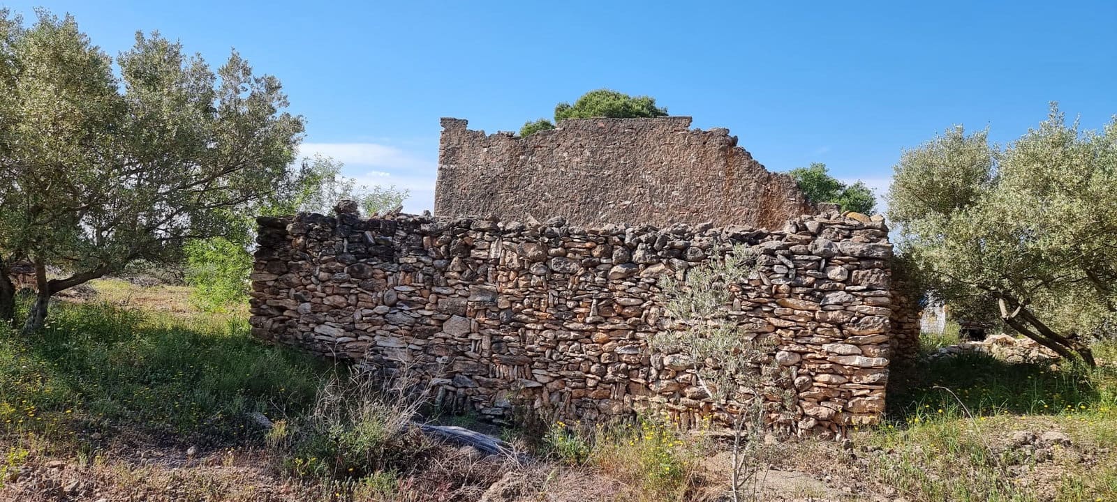 Finca/Country House for sale in Els Reguers, Tortosa, Tarragona photo 3