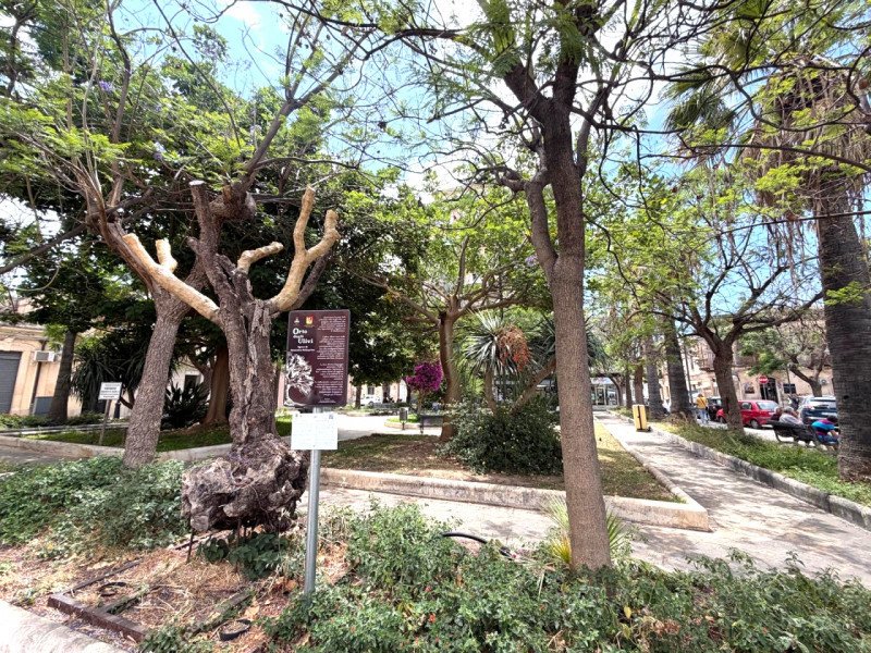 Property in Avola photo 5