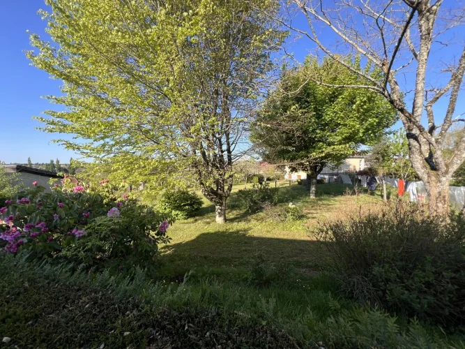 Single-Story House photo 5