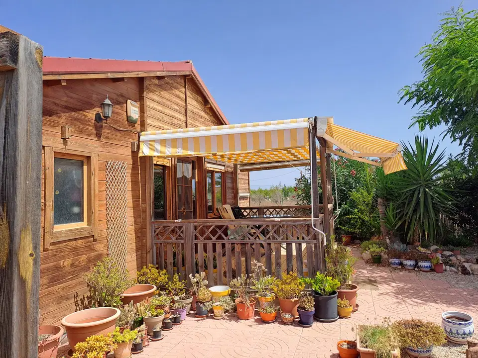 Wooden chalet in El Realengo, Alicante province photo 3