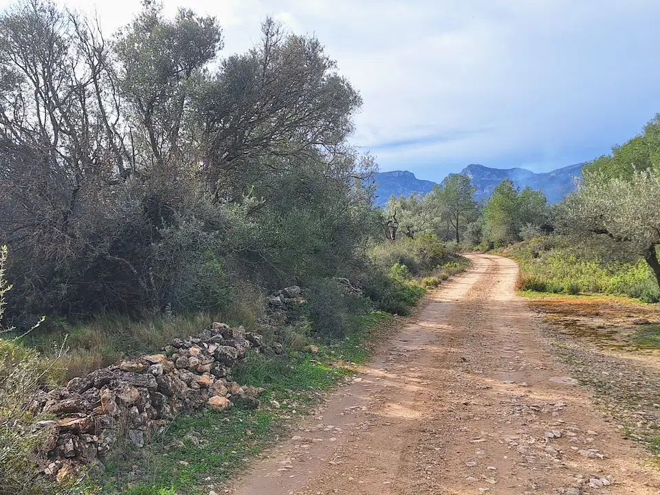Catalan Connexion S.l. photo 5