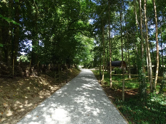 Pretty 3-Bed Cottage, Saint Aignan, Morbihan, photo 5