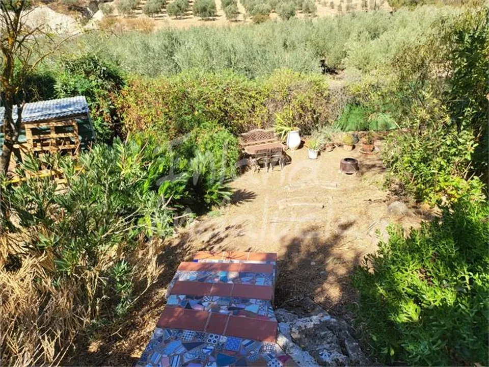 Inland Andalucia photo 4