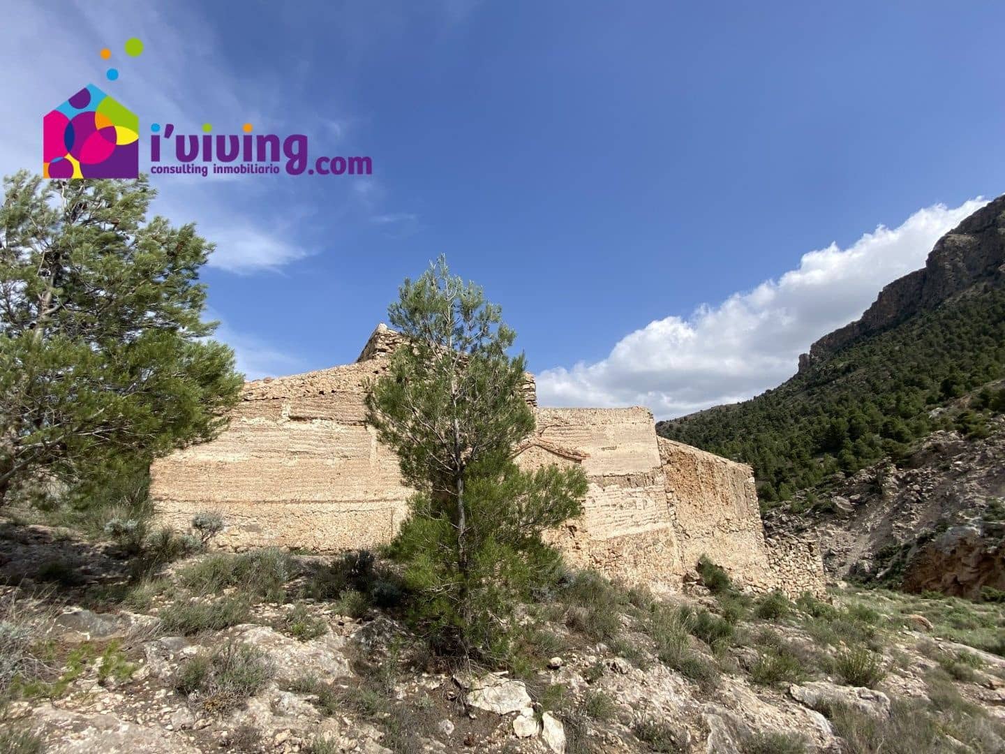Finca/Country House for sale in Albox, Almería photo 5