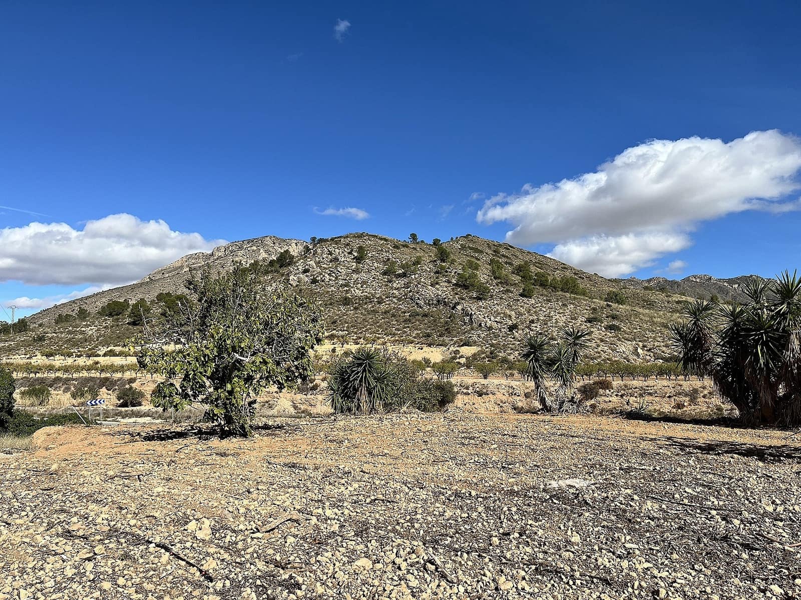 Finca/Country House for sale in El Cantón, Abanilla, Murcia photo 3