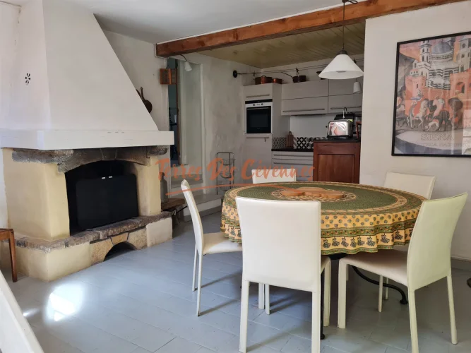 Village House with Terrace photo 3