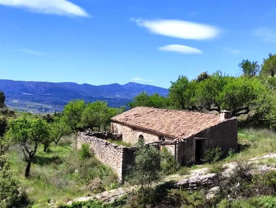 Finca in Benasau, Alicante province photo 2