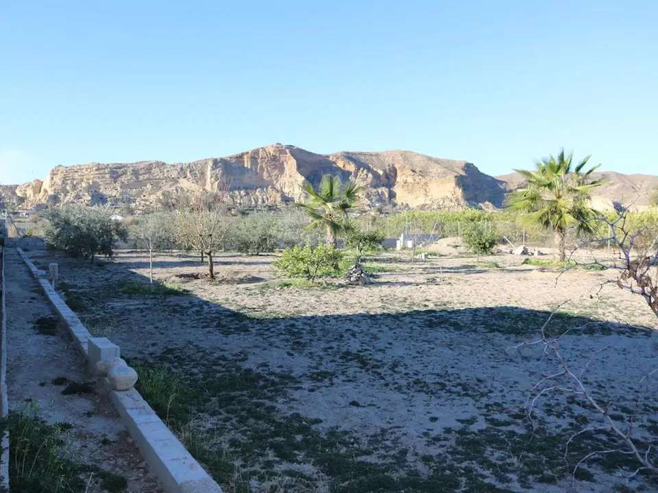 Grupo Platinum Estates sl photo 5