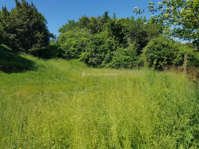 Exclusive - House to Renovate on 1000m² Plot photo 3