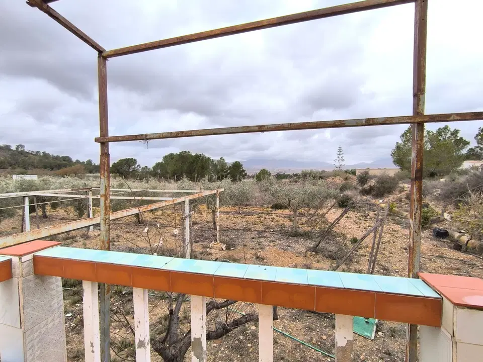 Finca in La Romana, Alicante province photo 3