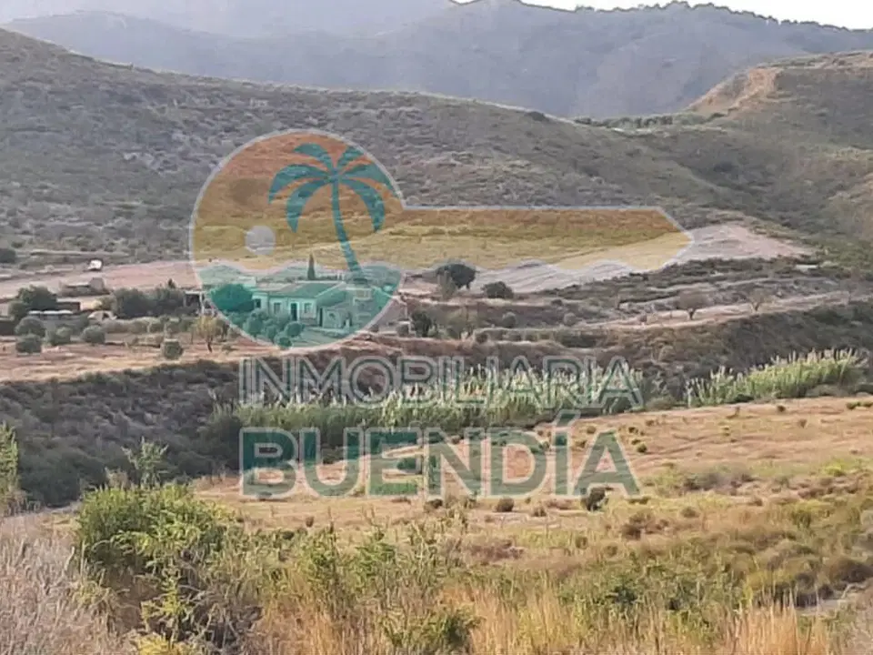 Inmobiliaria Buendia