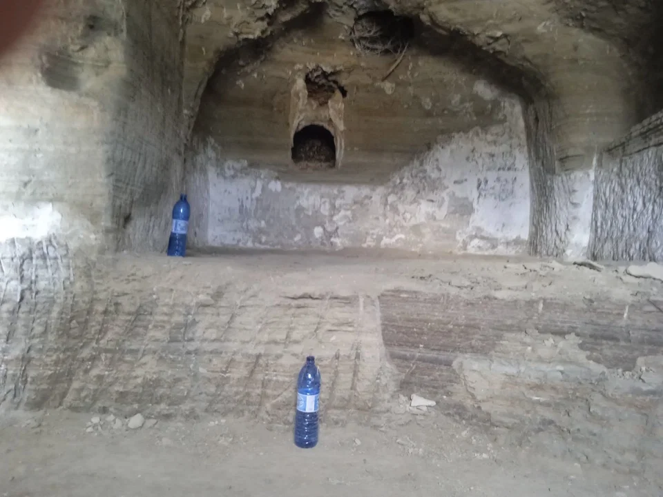 Cave house in Benamaurel, Granada photo 5