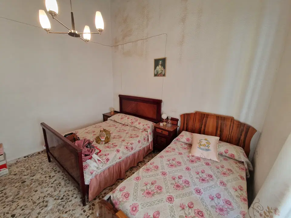 Country Fincas Pinoso S.L. photo 5