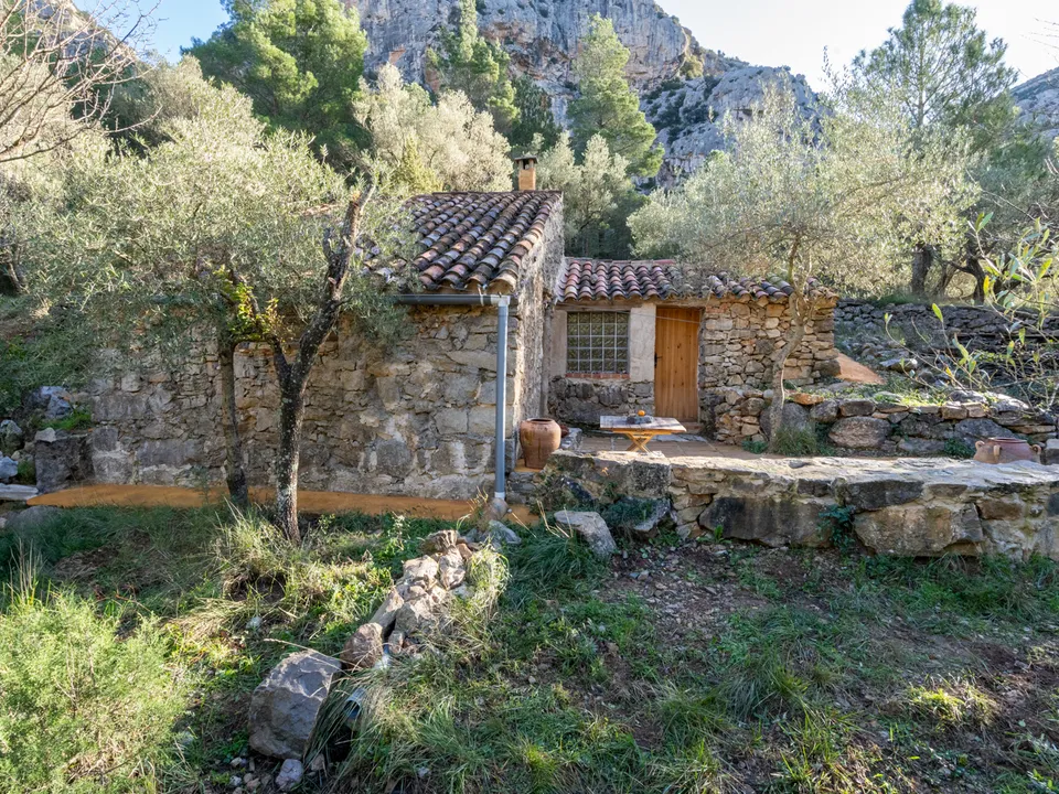 MAS CATALAN RURAL PROPERTIES S.L.U. photo 5