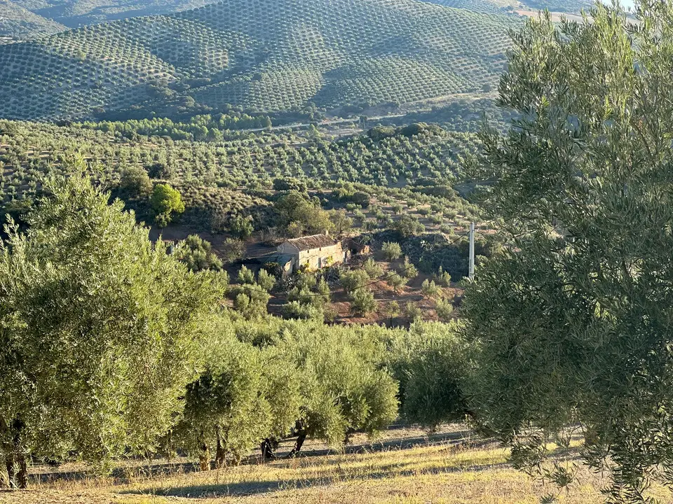 Cortijo in Benalua De Las Villas, Granada