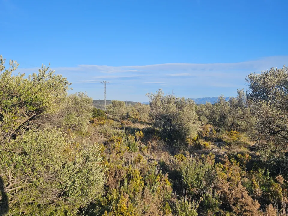 Beach Property in Spain photo 3