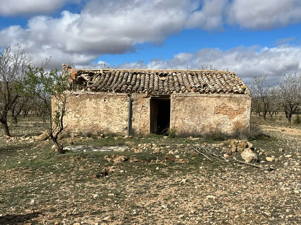 Country Fincas Pinoso S.L. photo 3