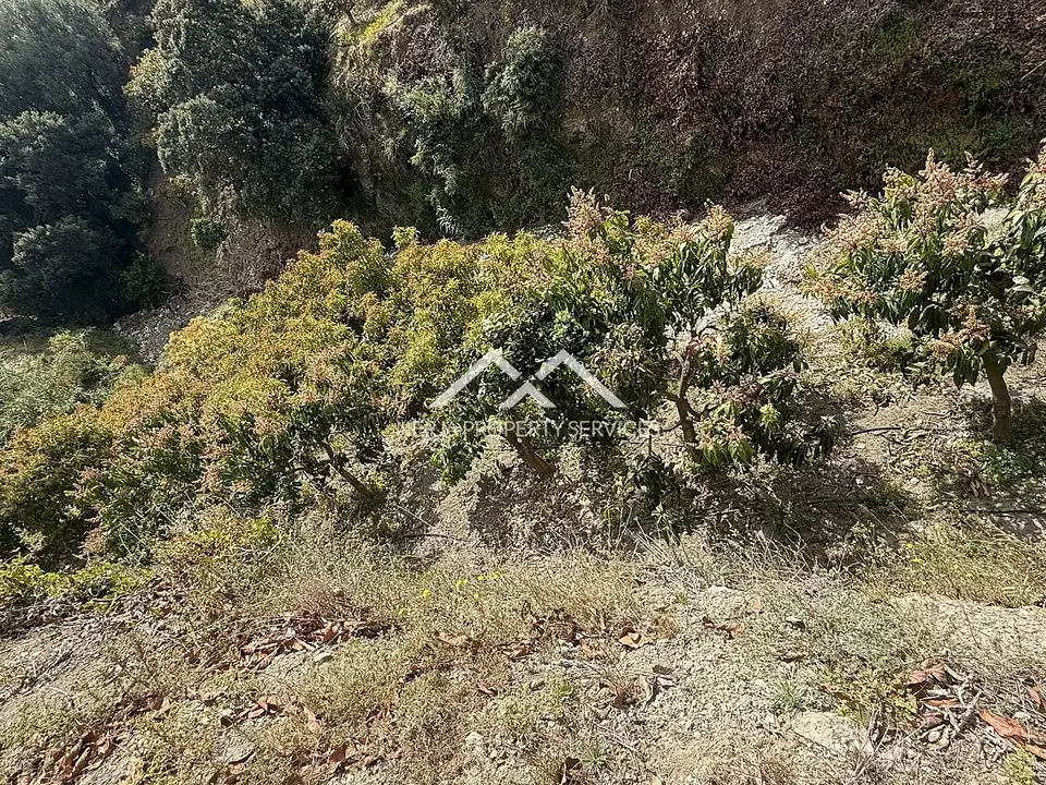Nerja Property Services photo 5