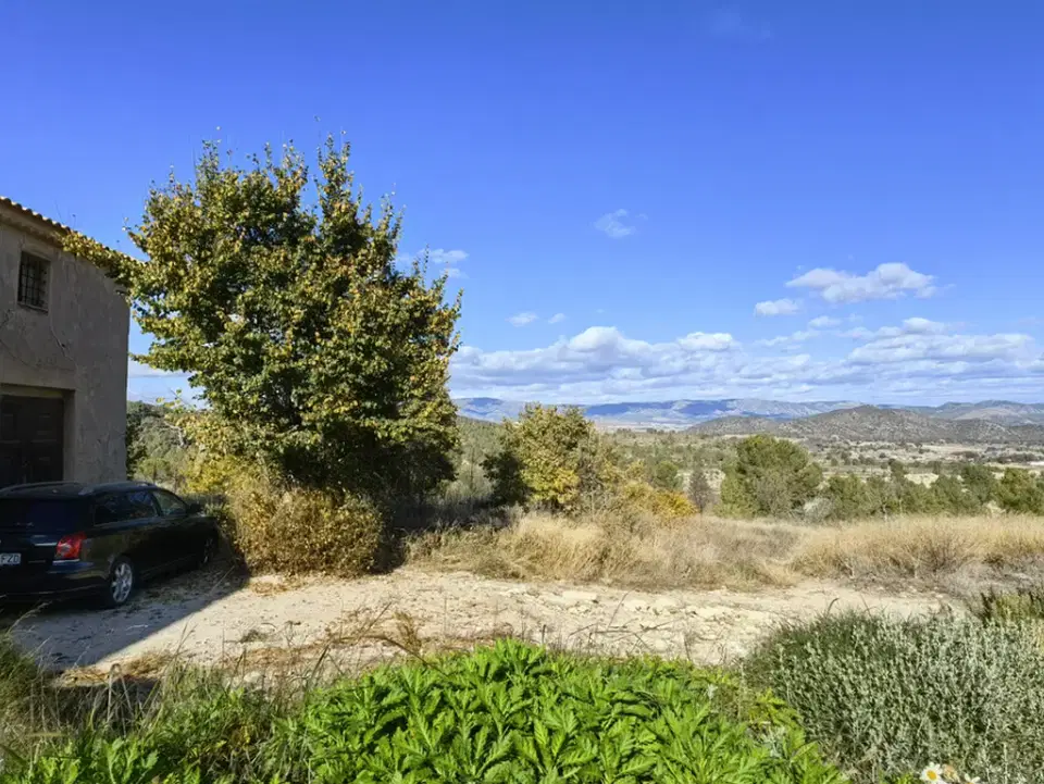 Stratus International Properties photo 3