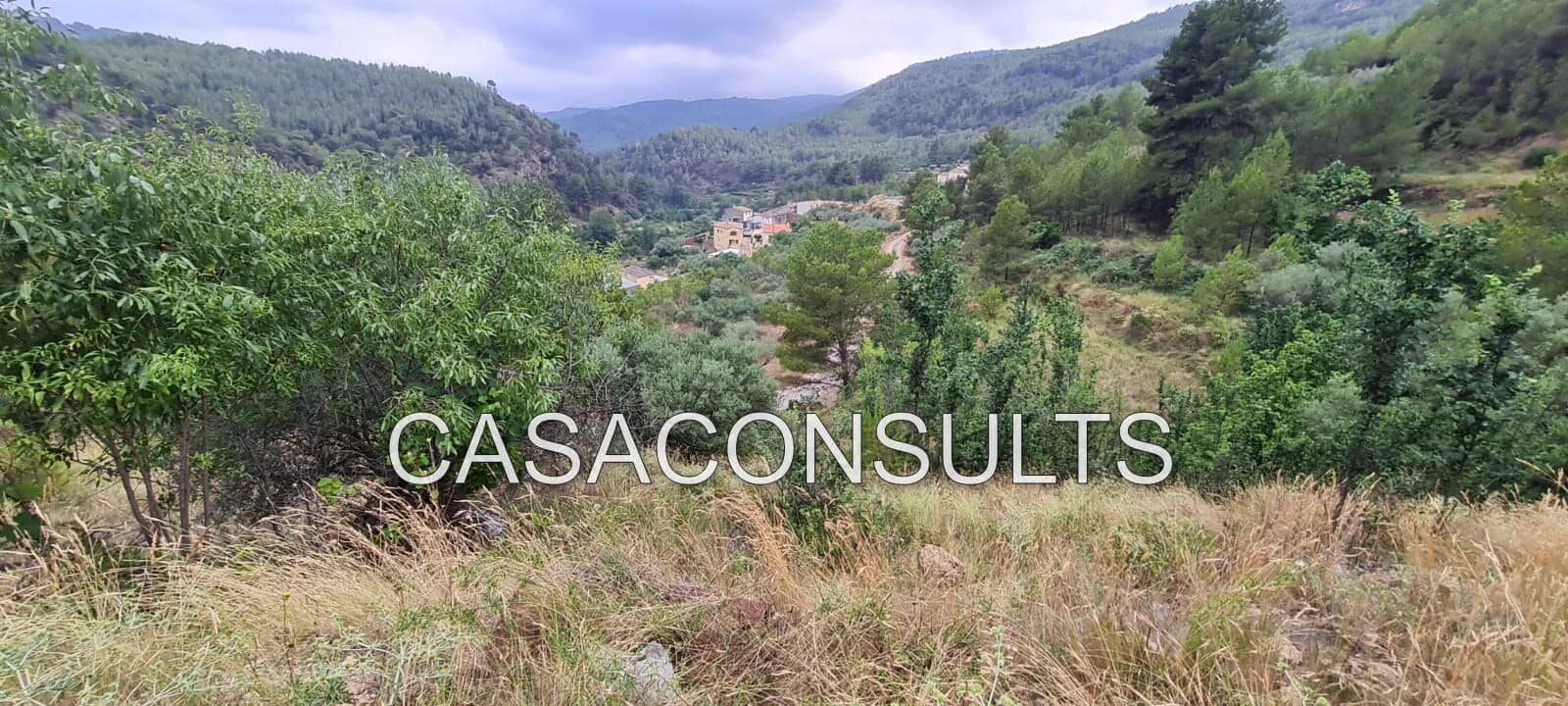 Finca/Country House for sale in Llucena , Castellón photo 4