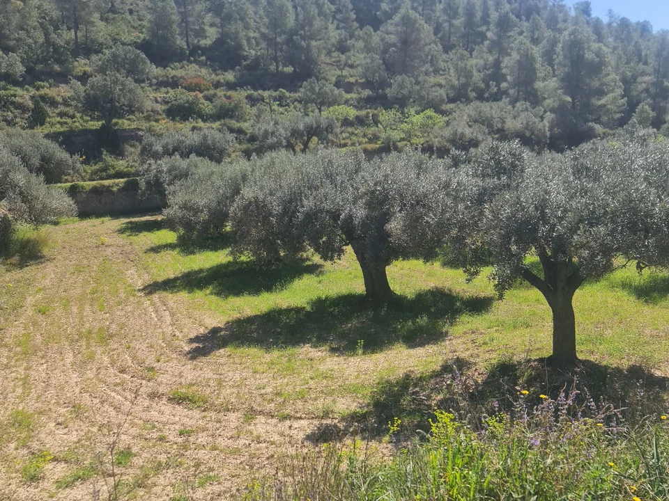 Property Finder Spain photo 4