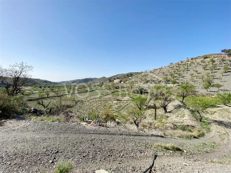 Finca/Country House for sale in Taberno, Almería photo 4