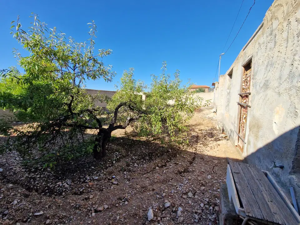 Country Fincas Pinoso S.L. photo 5