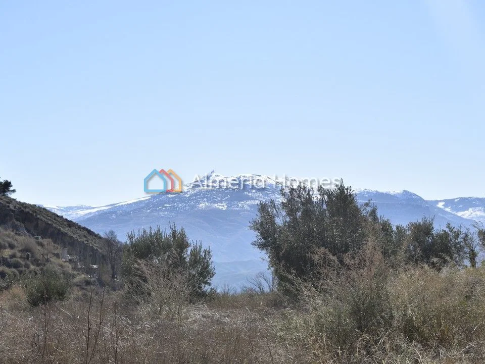 Almeria Homes photo 3